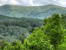 Cabin in Blue Ridge: Hot Tub|Fire Pit|Fooseball