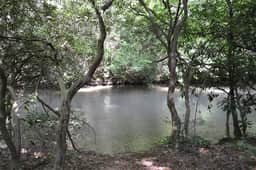 Sweetwater Escape | Hot Tub | Creek Access