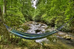 At Water's Edge|Hot Tub|Fish From Cabin|Secluded