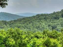 Kane's Nest-MTN View|Wrap Around Deck