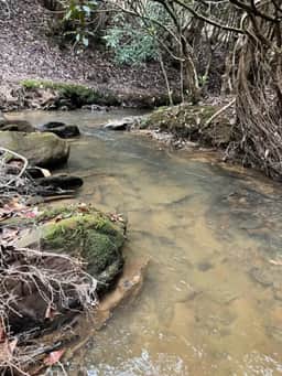 Hidden Creek- Trail to Creek, Hot Tub, Pool Table
