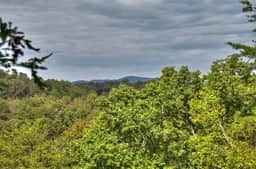 Blueberry Hill- Fire Pit, MTN Views, Grill