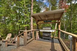 Blueberry Hill- Fire Pit, MTN Views, Grill
