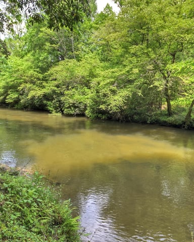 Peaceful Riverside Setting