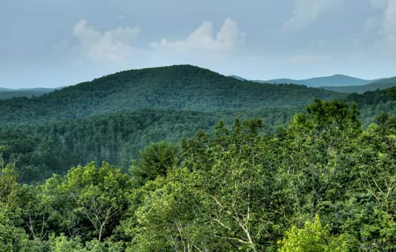 Vistas Over Aska | Pet Friendly | MTN Views |