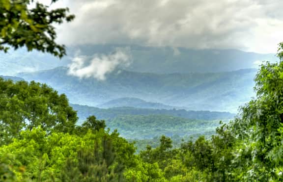 Three Cubs Cottage | Pet Friendly | Fire Pit |