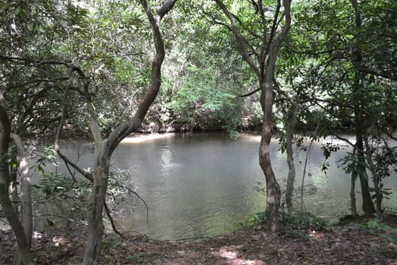 Sweetwater Escape | Hot Tub | Creek Access