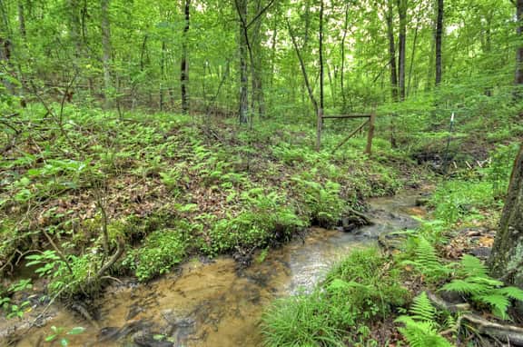 Stokes Haven | Pet Friendly | Hot Tub | Creek