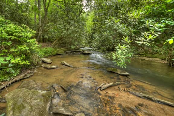 At Water's Edge|Hot Tub|Fish From Cabin|Secluded