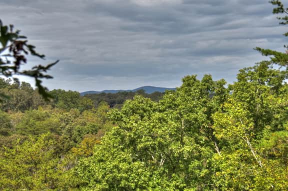 Blueberry Hill- Fire Pit, MTN Views, Grill