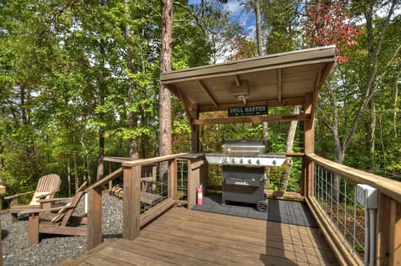 Blueberry Hill- Fire Pit, MTN Views, Grill