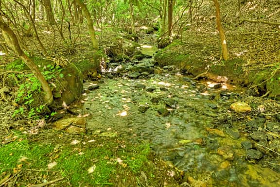 Serenity Creek | Pet Friendly | Hot Tub | Fire Pit