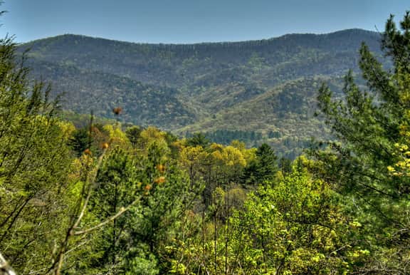 Mountain View Retreat | Fire Pit | Mtn Views