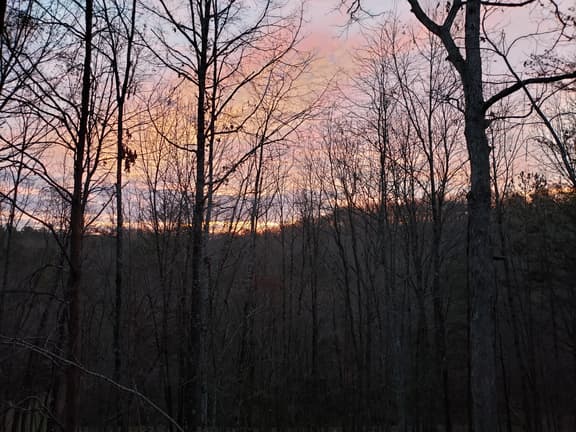 Squirrels Hideaway | Fire Pit | MTN Views